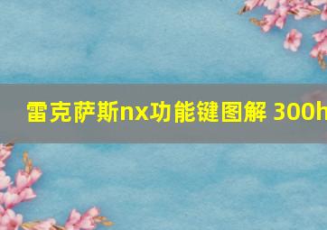 雷克萨斯nx功能键图解 300h